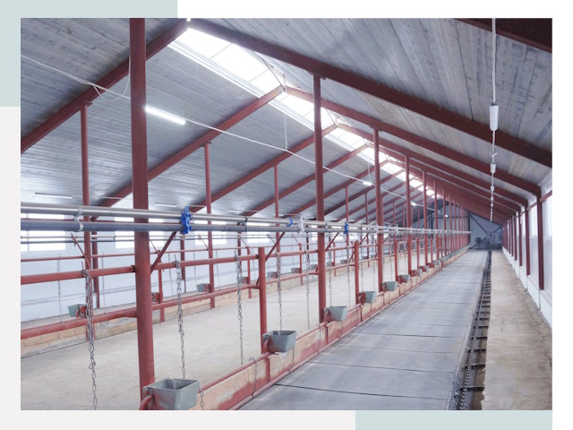 Строительство коровников в Энгельсе от 640 руб.