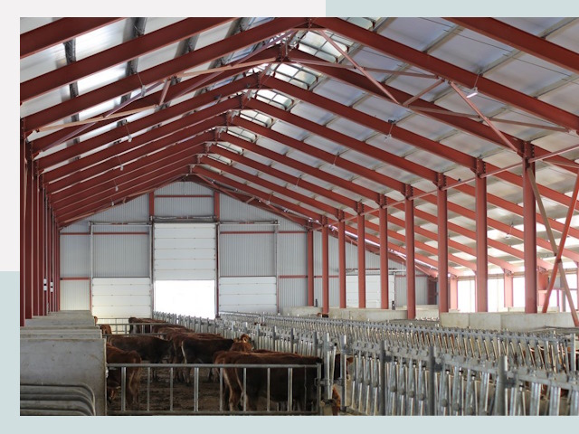 Строительство коровников в Энгельсе