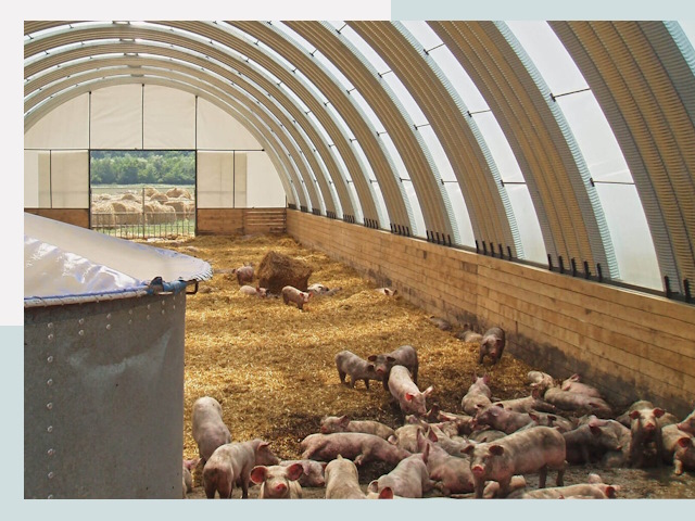 Строительство свинарников в Энгельсе