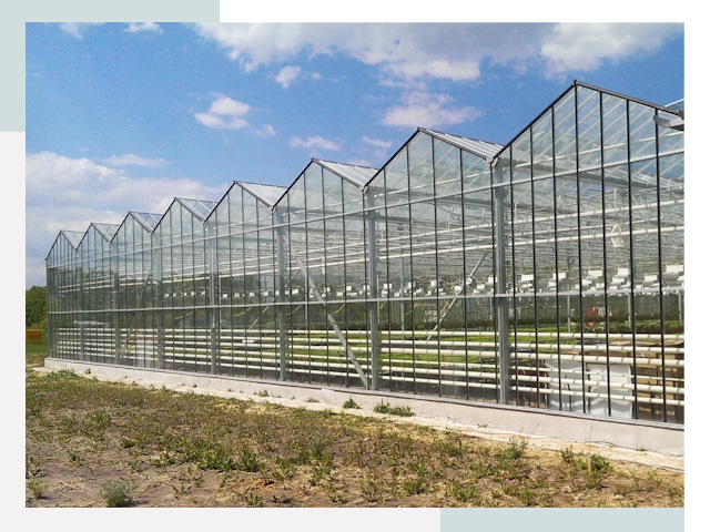 Строительство теплиц в Энгельс от 640 руб. за м²