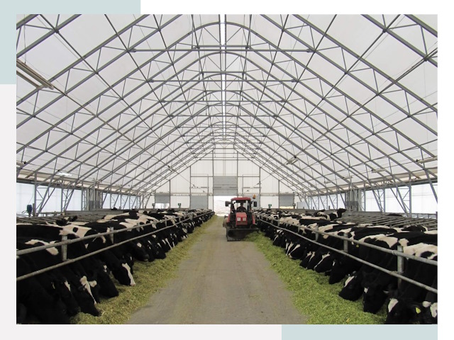 Тентовые коровники в Энгельсе от 640 руб. - Надежно и доступно