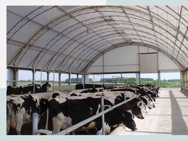 Тентовые коровники в Энгельсе